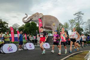 BIB: 
                            <button type="button" onclick="openModal(26528272)" class="btn btn-primary btn-sm float-right btn-popup" data-toggle="modal" data-target=".modal-high-quality">
                        <i class="fas fa-shopping-cart"></i> Add to Cart
                    </button>
                                            <button type="button" onclick="isThisMe(26528272, true)" class="btn btn-success btn-sm float-right btn-popup btn-isme hidden" data-toggle="tooltip" data-placement="bottom" title="นี่คือรูปของคุณใช่ไหม คลิกที่นี่เพื่อเอาเข้าอัลบั้ม">
                        <i class="fas fa-plus"></i> Add to album
                    </button>
                    <button type="button" onclick="isThisMe(26528272, false)" class="btn btn-warning btn-sm float-right btn-popup btn-isnotme hidden">
                        <i class="fas fa-ban"></i> Remove from album
                    </button>